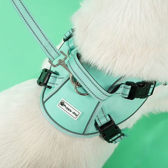 Dog Leash and Harness PJ-061 Green L