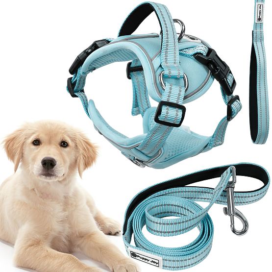 Dog Leash and Harness PJ-062 Blue L