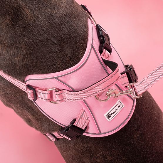 Dog Leash and Harness PJ-064 Pink XL