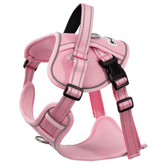 Dog Leash and Harness PJ-064 Pink XL