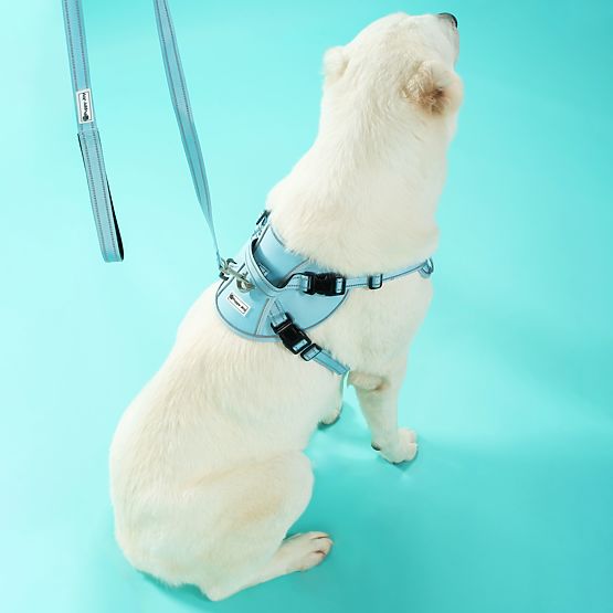 Dog Leash and Harness PJ-066 Blue XL