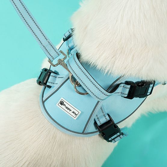 Dog Leash and Harness PJ-066 Blue XL