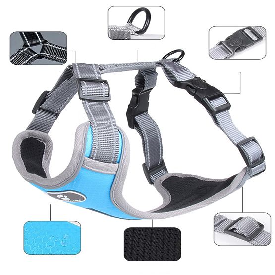 Dog Training Harness ASTRO Blue Size S