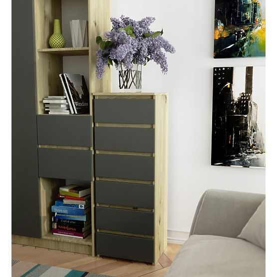 Dresser CL6 PK Artisan Oak / Gray