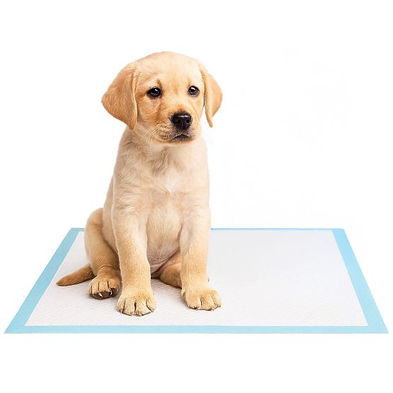 Hygienic Pads for Animals BARRY 60x90 50 pcs