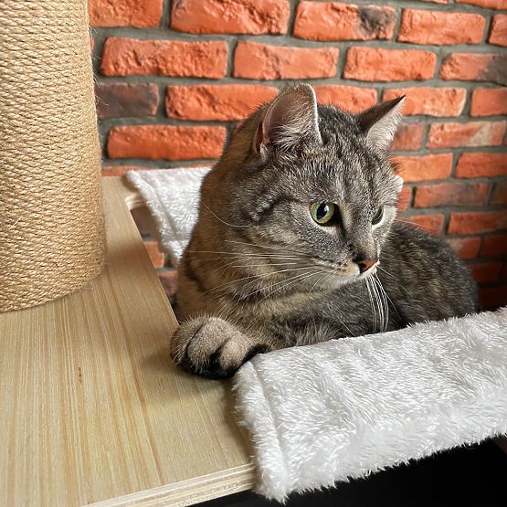 Large Cat Scratching Post Beige 255-265cm P70503