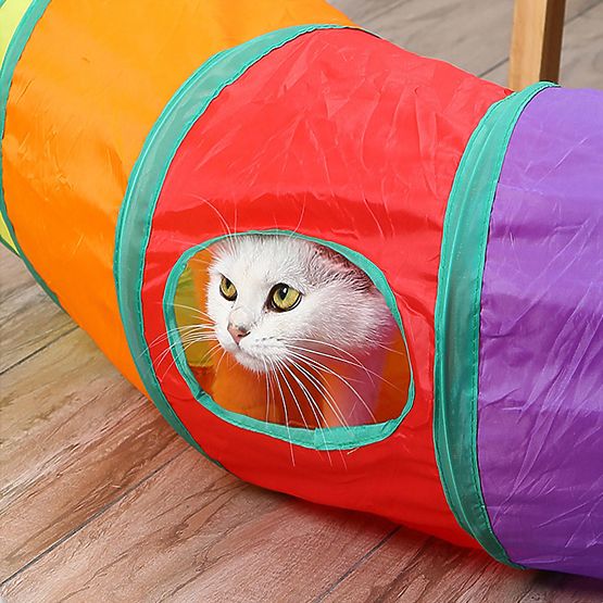 Long Tunnel Spring Toy for Cat FIGARO