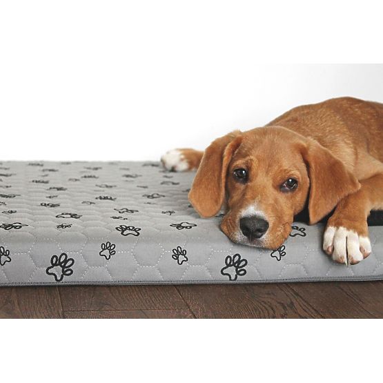Mattress for dogs - gray - M