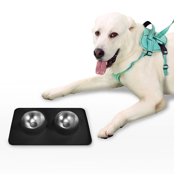 Metal Bowls for Dogs or Cats with Non-Slip Mat Black PJ-086