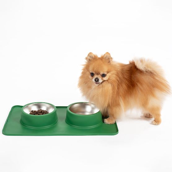 Metal Bowls for Dogs or Cats with Non-Slip Mat Green PJ-087