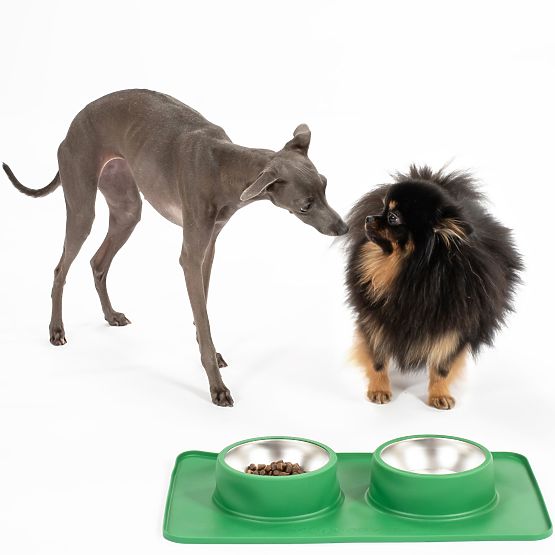 Metal Bowls for Dogs or Cats with Non-Slip Mat Green PJ-087