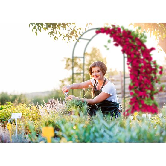 Metal Pergola Arch Black 240 cm