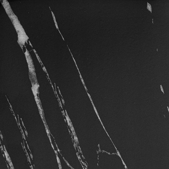 Mogren Black Marble Plant Stand