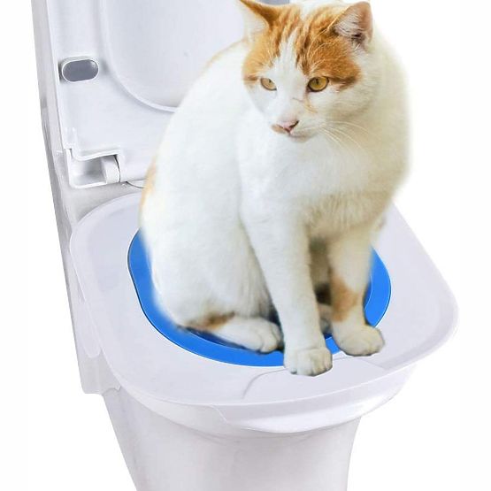 NILS Blue Cat Toilet Trainer
