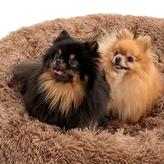 PET BED FOR DOG CAT PJ-012 BROWN XL