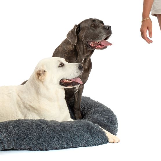 PET BED FOR DOGS CATS PJ-004 DARK GRAY L