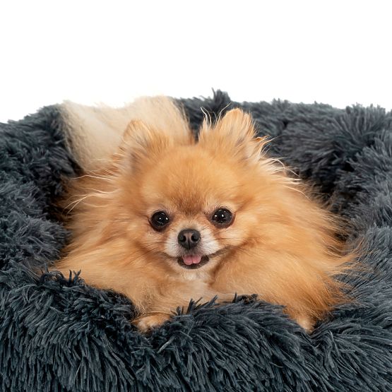 PET BED FOR DOGS CATS PJ-004 DARK GRAY L