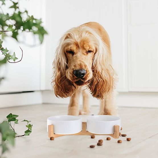 PET FOOD AND WATER BOWL WHITE 331579