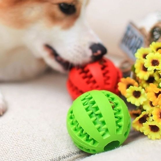 Red Chew Ball for Dogs PJ-090