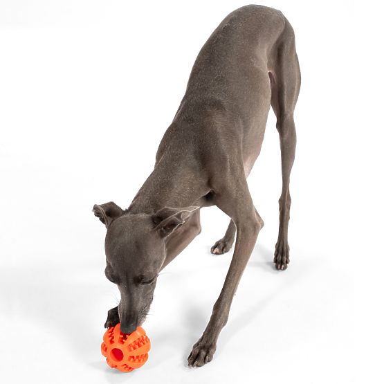 Red Chew Ball for Dogs PJ-090