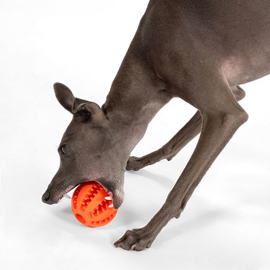 Red Chew Ball for Dogs PJ-090