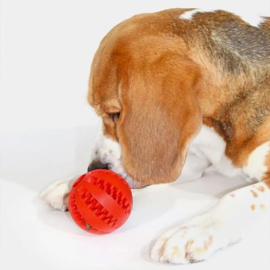 Red Chew Ball for Dogs PJ-090