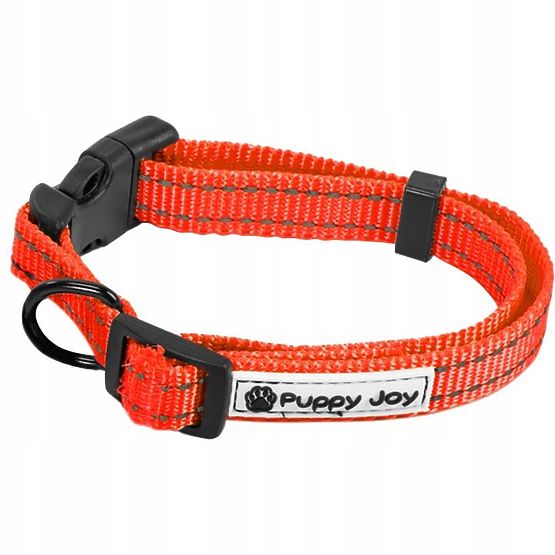 Reflective Dog Leash and Collar PJ-035 Red