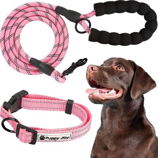 Reflective Dog Leash and Collar PJ-036 Pink