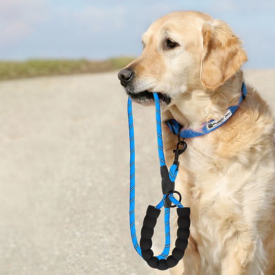 Reflective Leash and Collar for Dog PJ-037 Blue