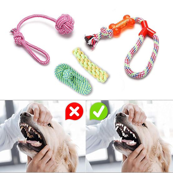 Set of 10 DYLAN Dog Toys Tug Ropes