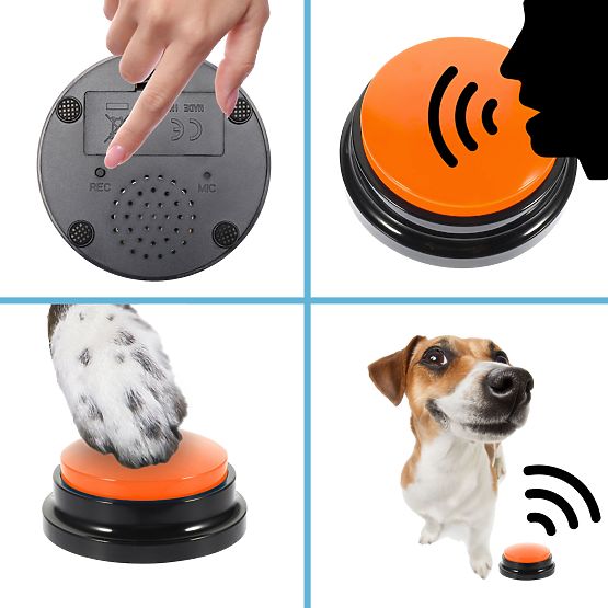 Set of 4 TALKER Communication Buttons for Dogs