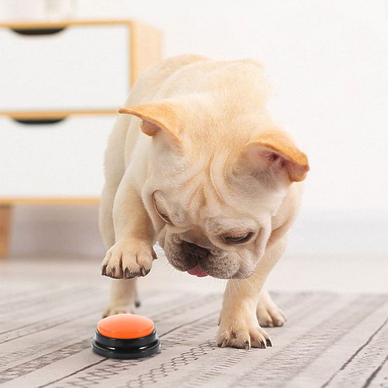 Set of 4 TALKER Communication Buttons for Dogs