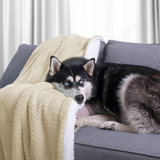 SHLEEPY Blanket Beige Color with Jacquard Pattern Classic Style 220x240