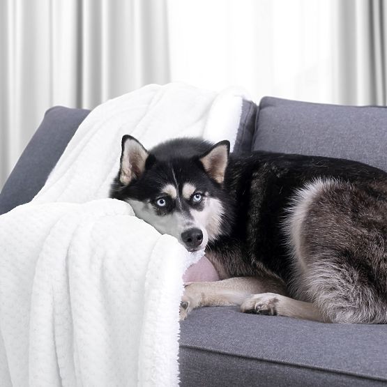 SHLEEPY Blanket in White with Jacquard Pattern Classic Style 130x180