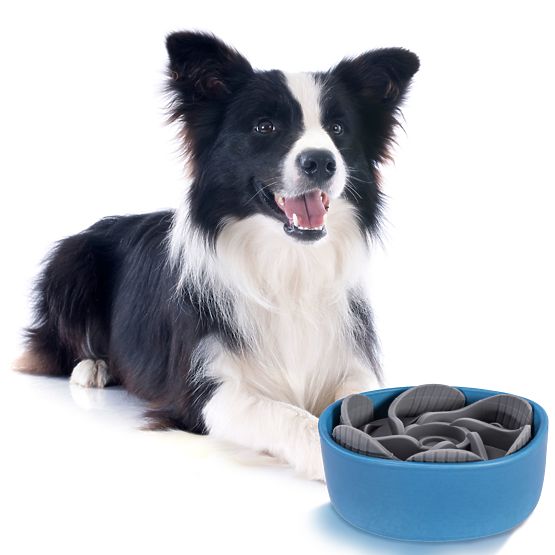 Slow Feeder Insert for Dog Bowl PJ-031
