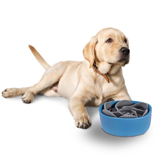 Slow Feeder Insert for Dog Bowl PJ-031