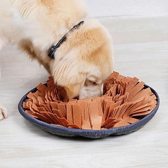 SNIFFING MAT FOR DOG PJ-095