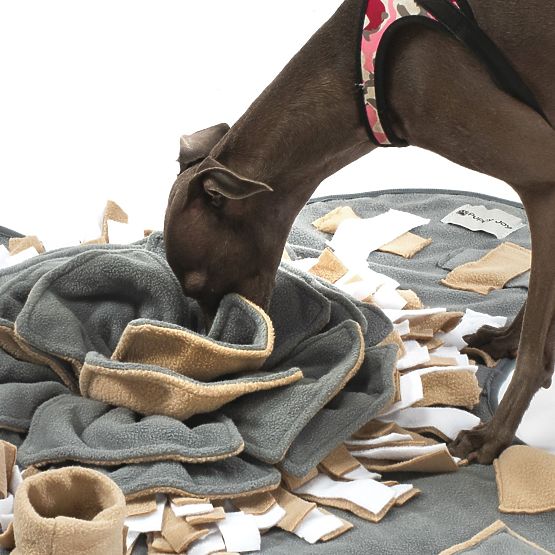 SNIFFING MAT FOR DOGS PJ-028