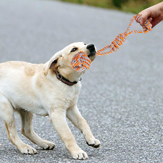 SPANKY Dog Tug Toy Set 5 Pieces