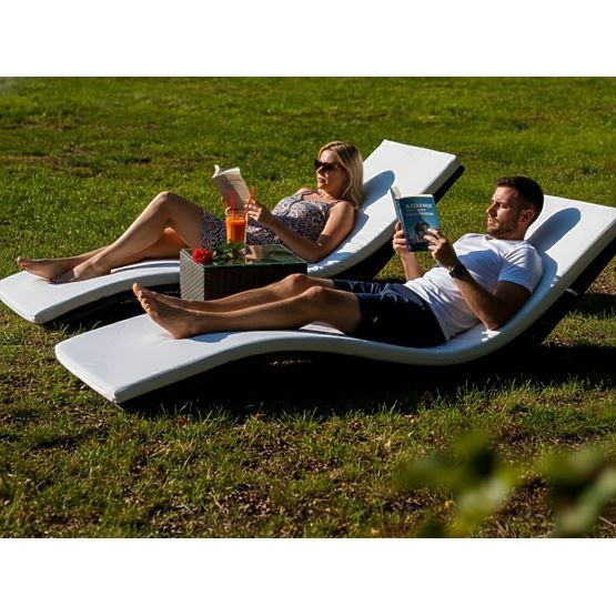 SUCCESSO Gray Technorattan Lounger Set with Table