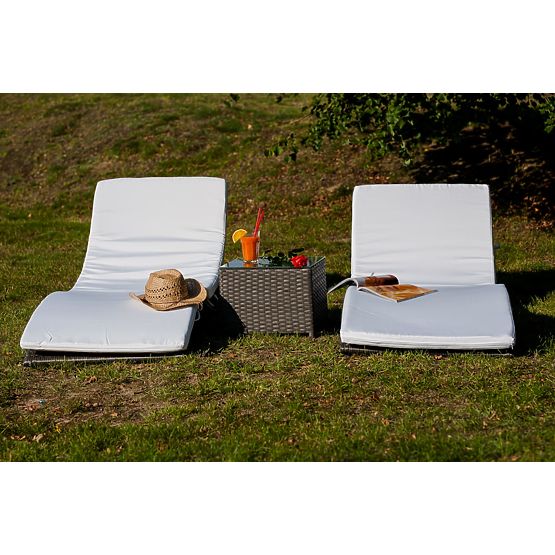 SUCCESSO Gray Technorattan Lounger Set with Table