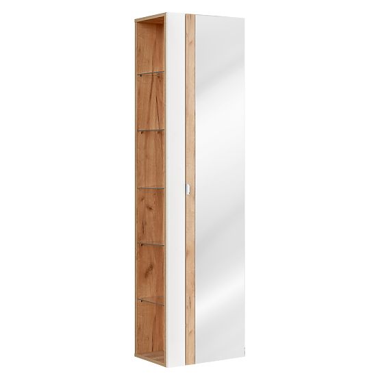 Tall Cabinet with 1 Door