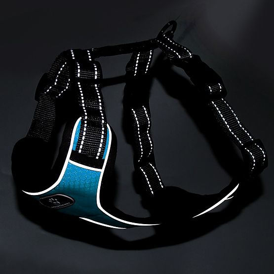 Training Dog Harness ASTRO Blue Size XL