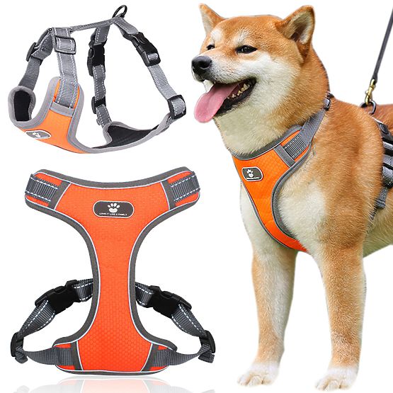 Training Dog Harness ASTRO Orange Size L
