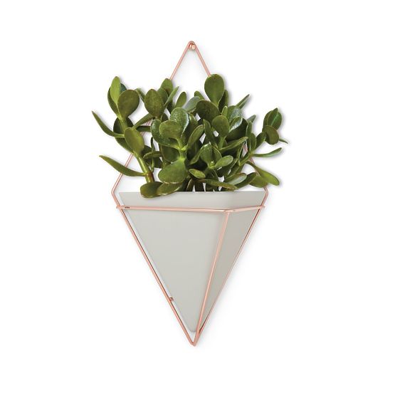 TRIGG Planter Modern Style Umbra