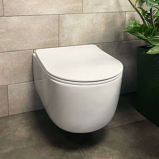 Wall-Hung Toilet Bowl Eddy N Tornado