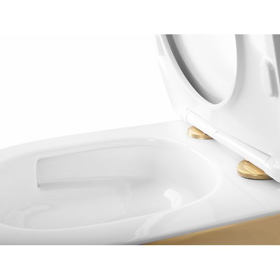 Wall-Hung Toilet Bowl Rea Carlo Mini Tornado NFQ Gold White