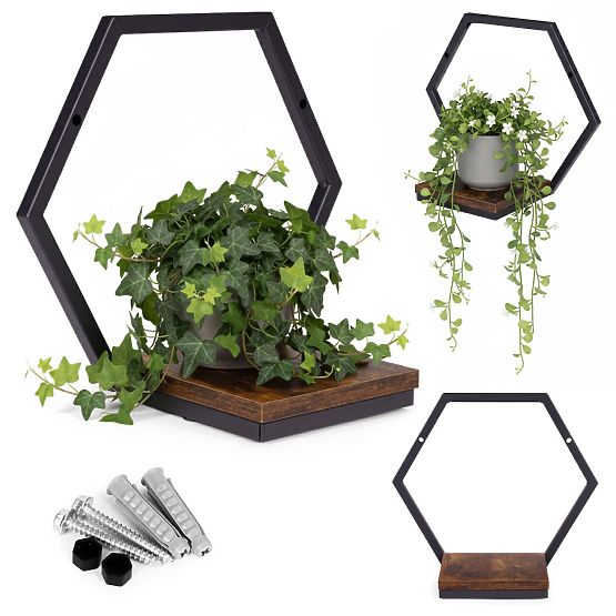 Wall-mounted Flower Pot Hanging Shelf for Plants Loft Decoration Hexagon ModernHome