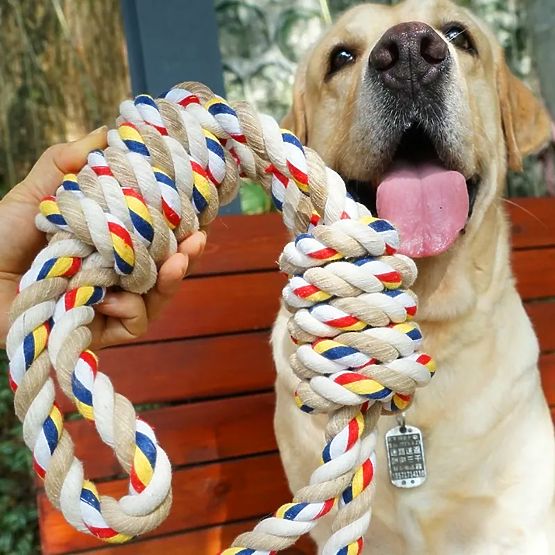 WALLY 60 cm Tug Toy with Knots