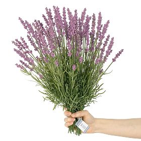 Artificial Flower LAVI Purple Color Boho Style AmeliaHome